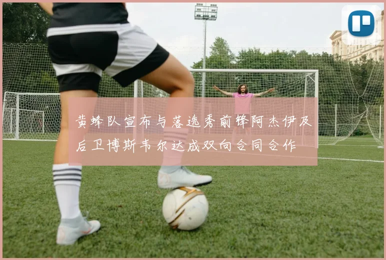 黄蜂队宣布与落选秀前锋阿杰伊及后卫博斯韦尔达成双向合同合作